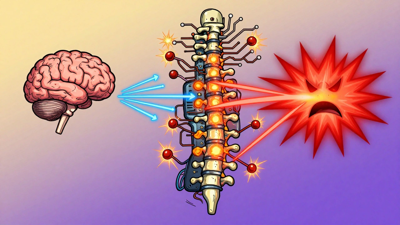 Human spine as a circuit board with reversed pain signals: calming blue turning into angry red spikes.
